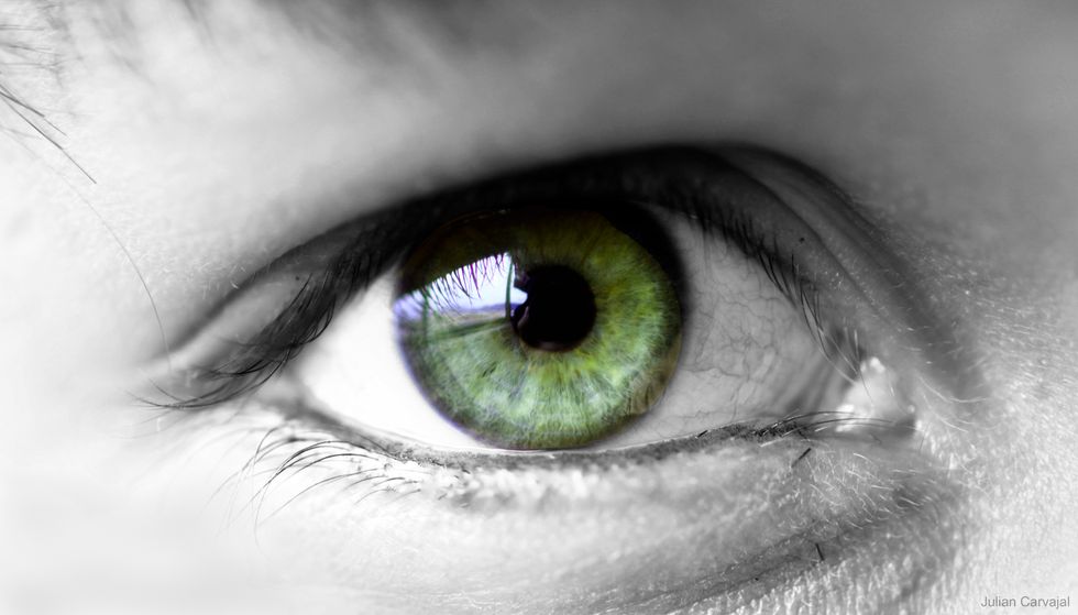 Poetry on Odyssey: Their Eyes