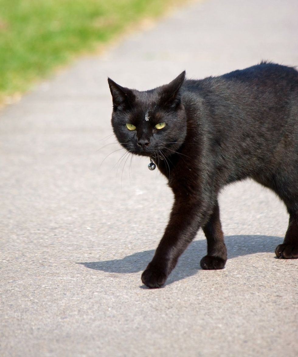 20 Silly Superstitions And Honored Traditions That'll Have You Turn A Full 360 On Your Own Fears And Beliefs