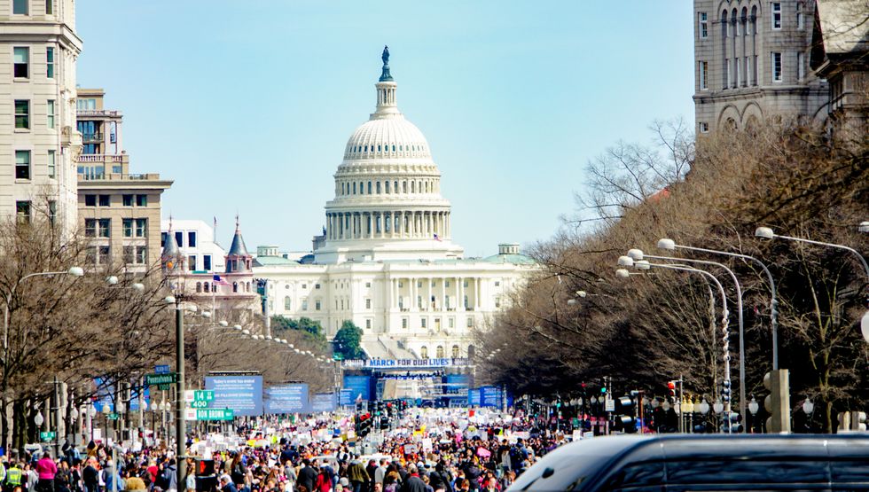 The March For Our Lives Was Influenced By Literature And Social Media