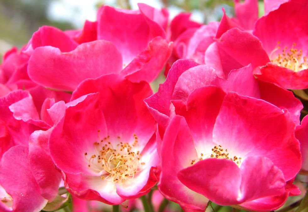 To My Mom, Who Doubles As My Best Friend