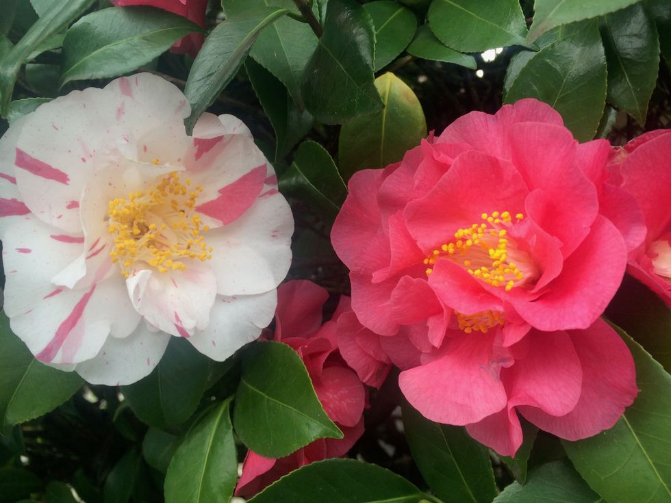 Easter Debates Throughout Christian History