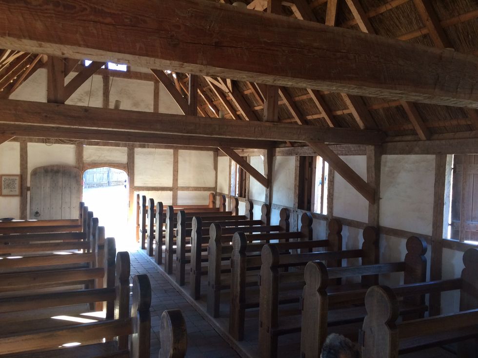 I Believe That My Roots Are So Faithful That They Will Never Fail Me