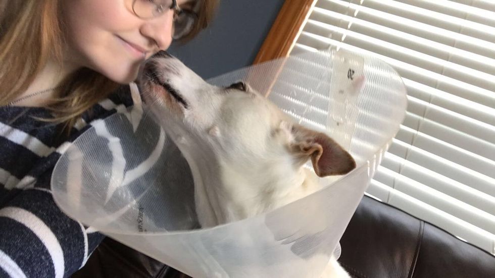 To My Childhood Dog, These Thank You’s Are Long Overdue