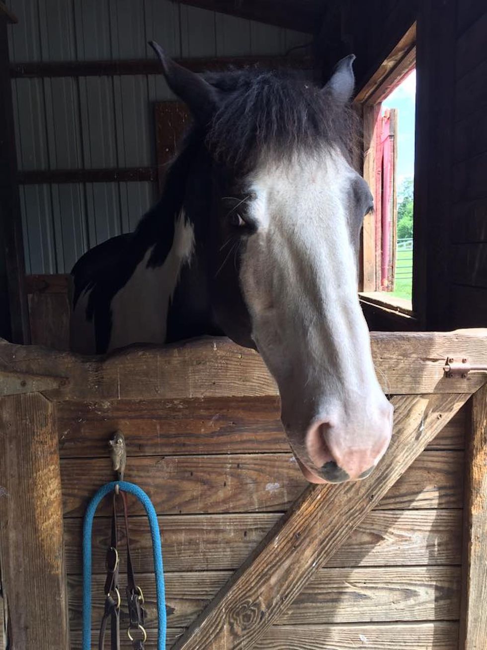 Get Out There And Volunteer!