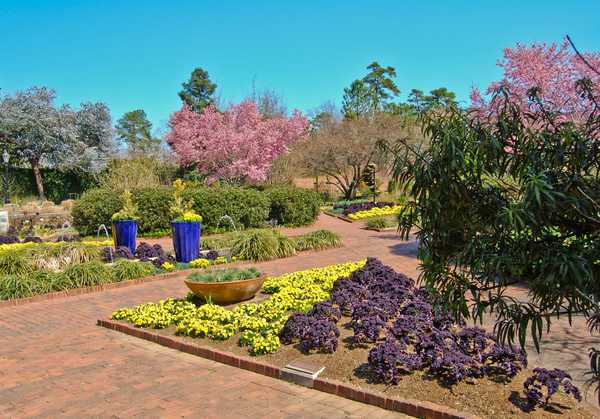 13 Fun Thing to do in Columbia, SC this Spring