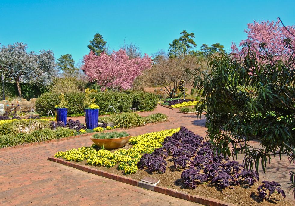 13 Fun Thing to do in Columbia, SC this Spring