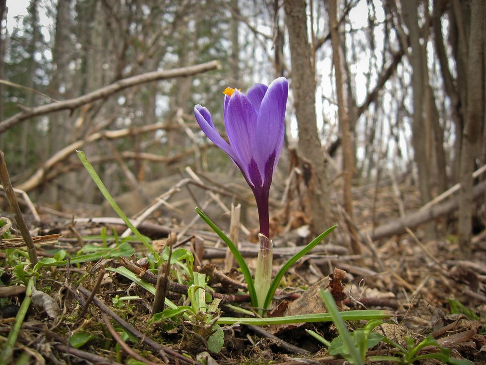 4 Reasons Spring Is Actually Awful | The Odyssey Online