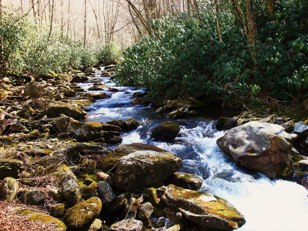 Spring Semester Sucks