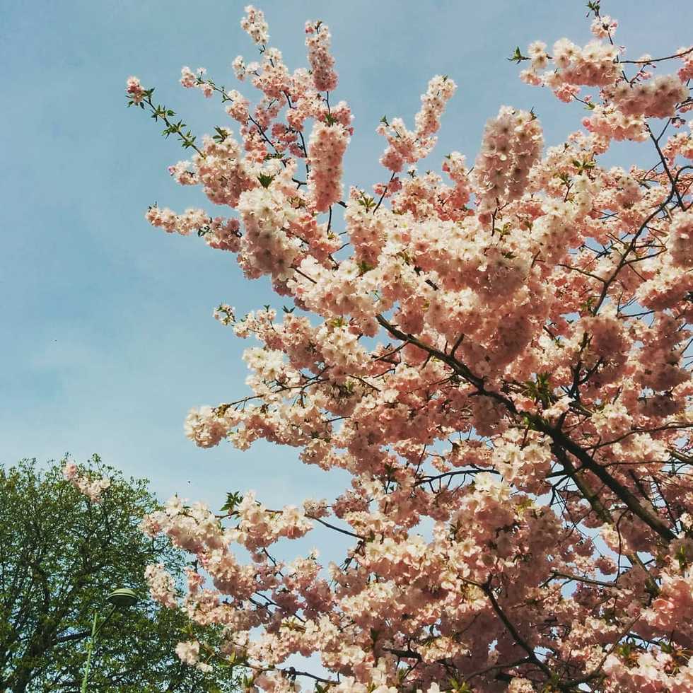 5 Fun Warm Weather Things To Do In Central Virginia