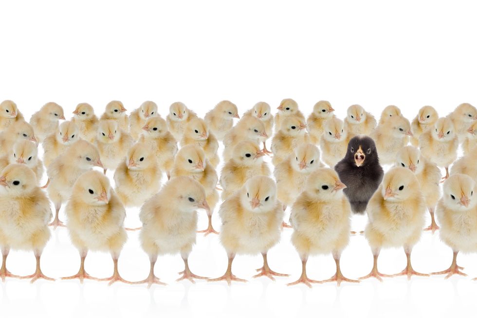 To The Boy Everyone Over Looked