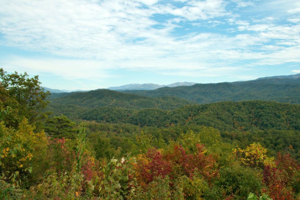 Top 5 Parks And Trails For Hiking Buffs To Go In Knoxville, TN