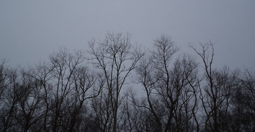 Creative Fiction On Odyssey: Living Under The Grey Sky