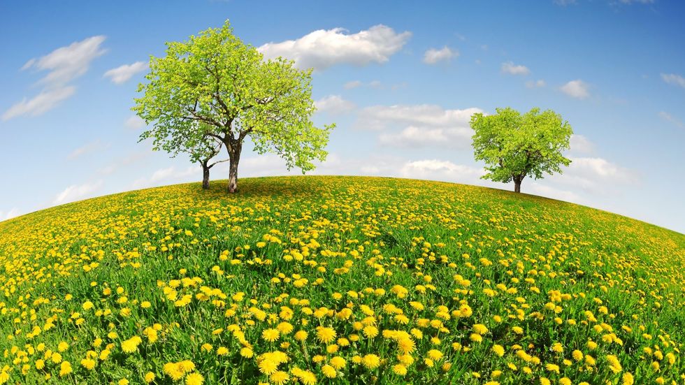 Poetry on Odyssey: God Bless Teresa Pijanowski