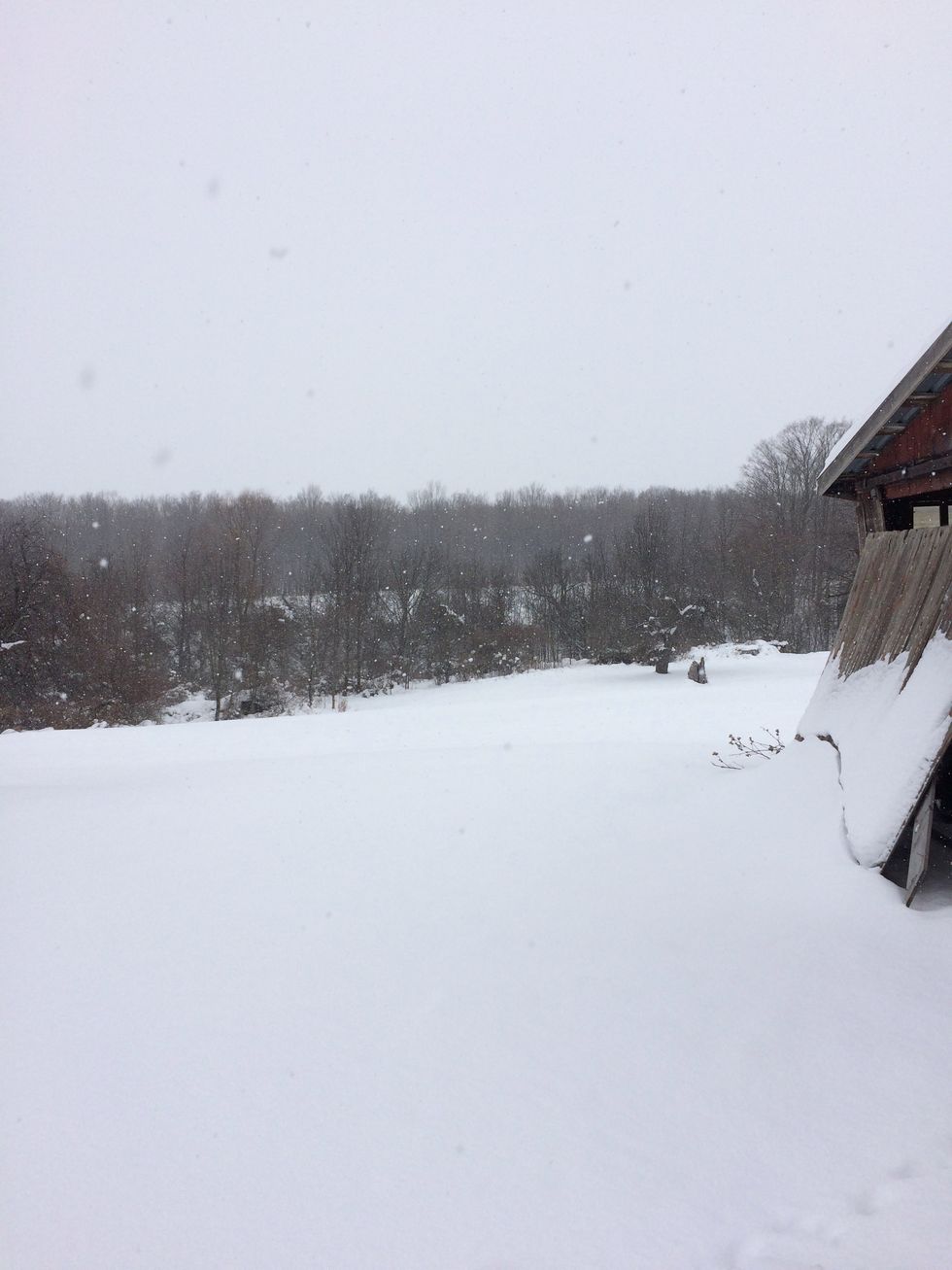 Five Angry Renaissance Babies that Are a Mood for Western New York Weather