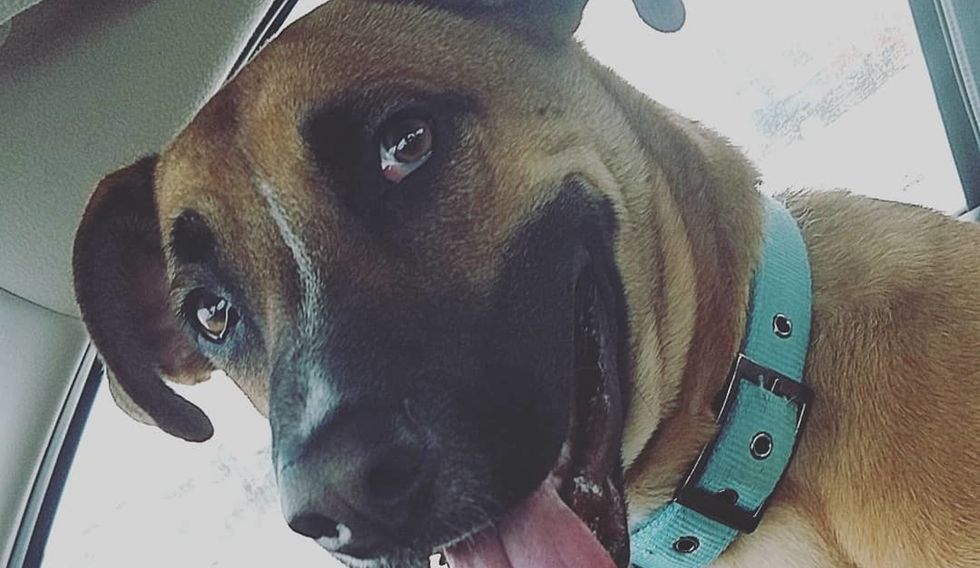 3 Lessons I Learned About Life From Raising My Dog