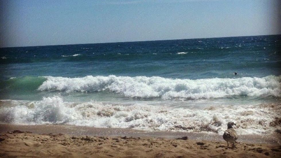 5 Summer Essentials You Forgot You Needed Because It's Been Winter For, Like, 5,000 Years