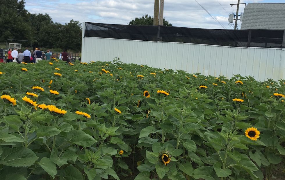 To The Brother I Never Had And Never Will Again