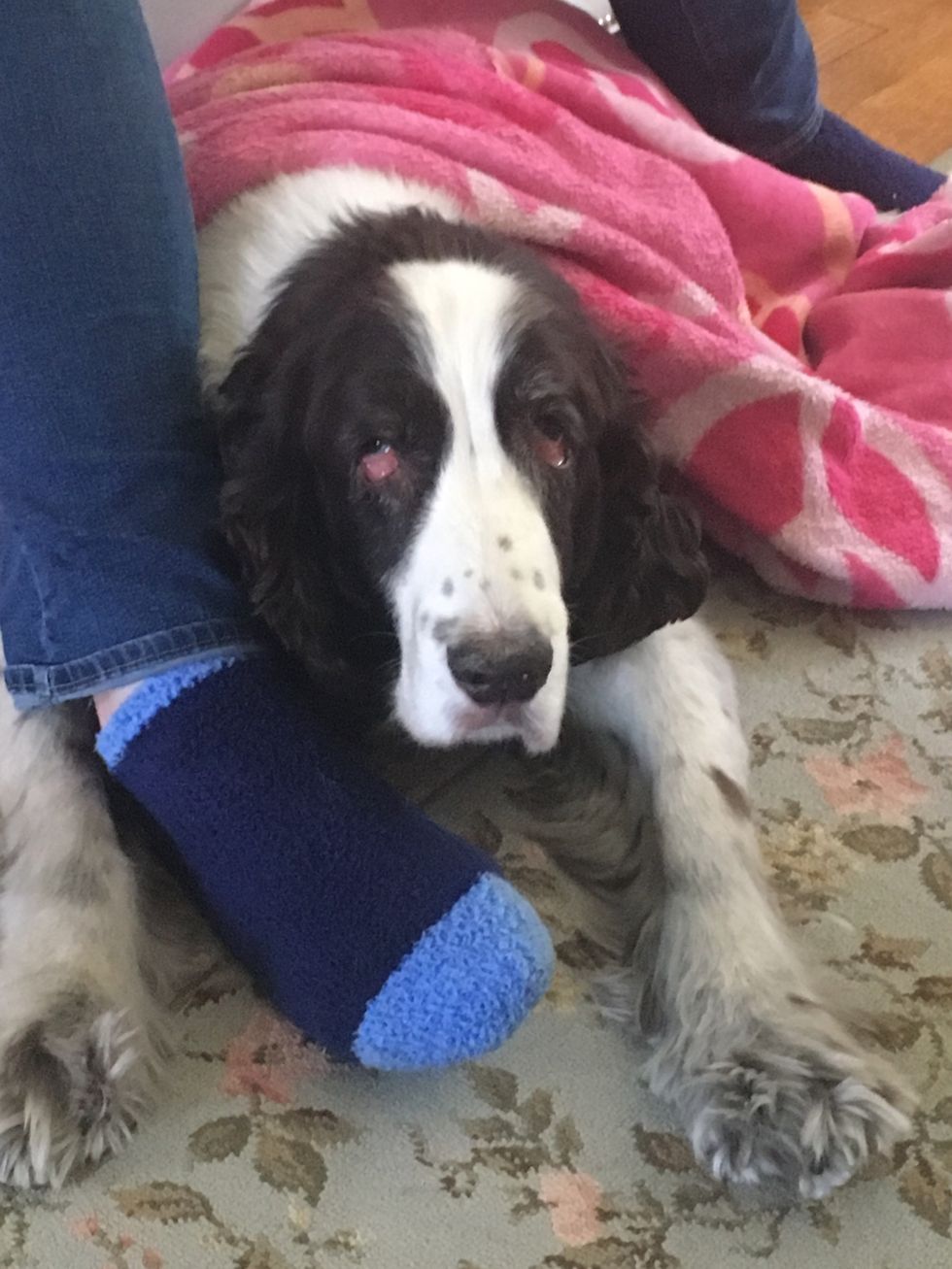 Losing Lucky Is Like Losing A Member Of My Family