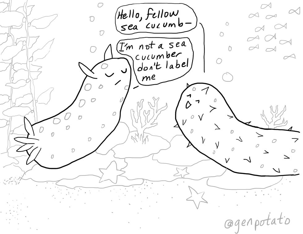 Yes, You're A Feminist