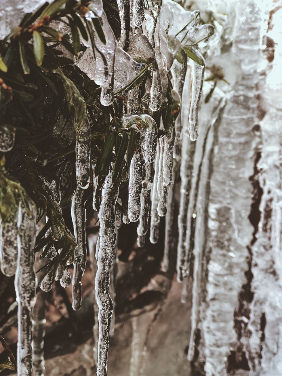 Ice Melts, Problems Fade, Nothing Last Forever But Change.