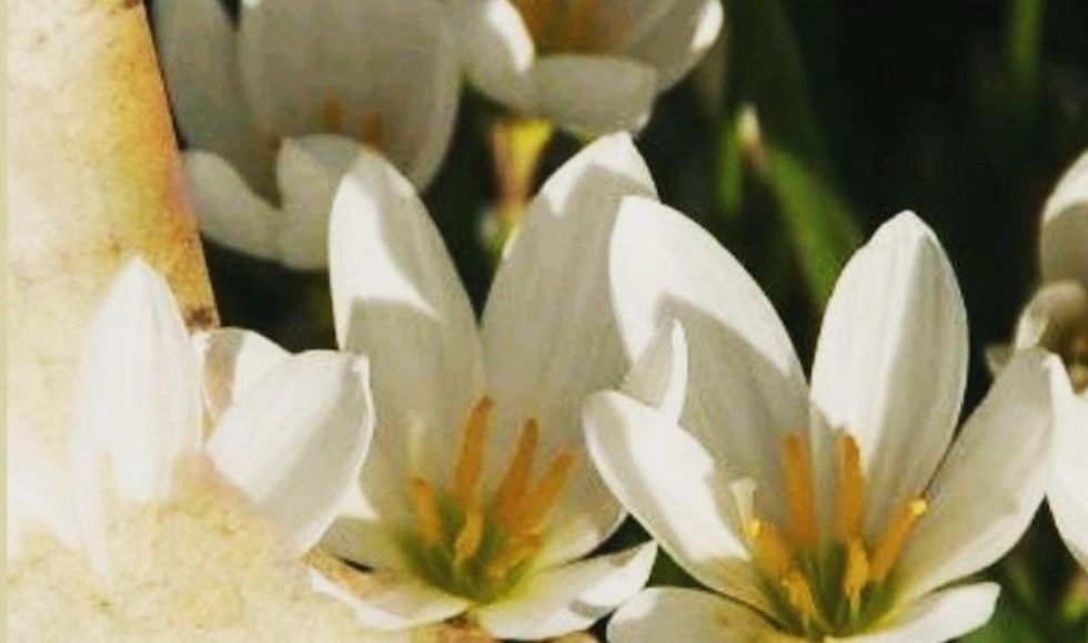 Awake! Speak Life Devotional: Day 3 Update