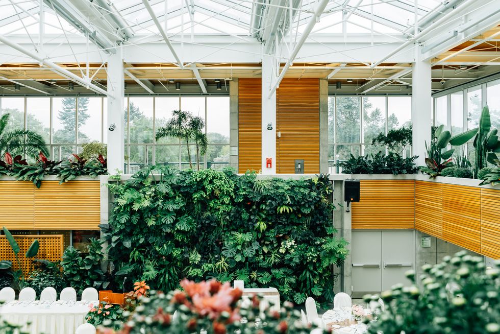5 Reasons To Drop Everything You're Doing And Go Buy A Houseplant