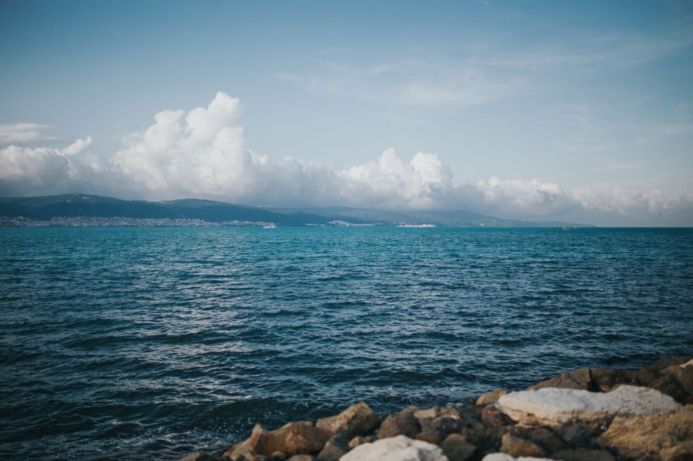 How To Trust In The Free Fall