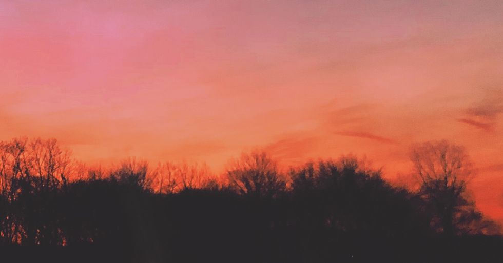 A Thank You Letter To The Professor Who Changed My Life