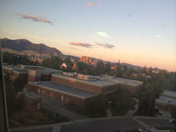 10 Things Every Montana State Student Has Wondered