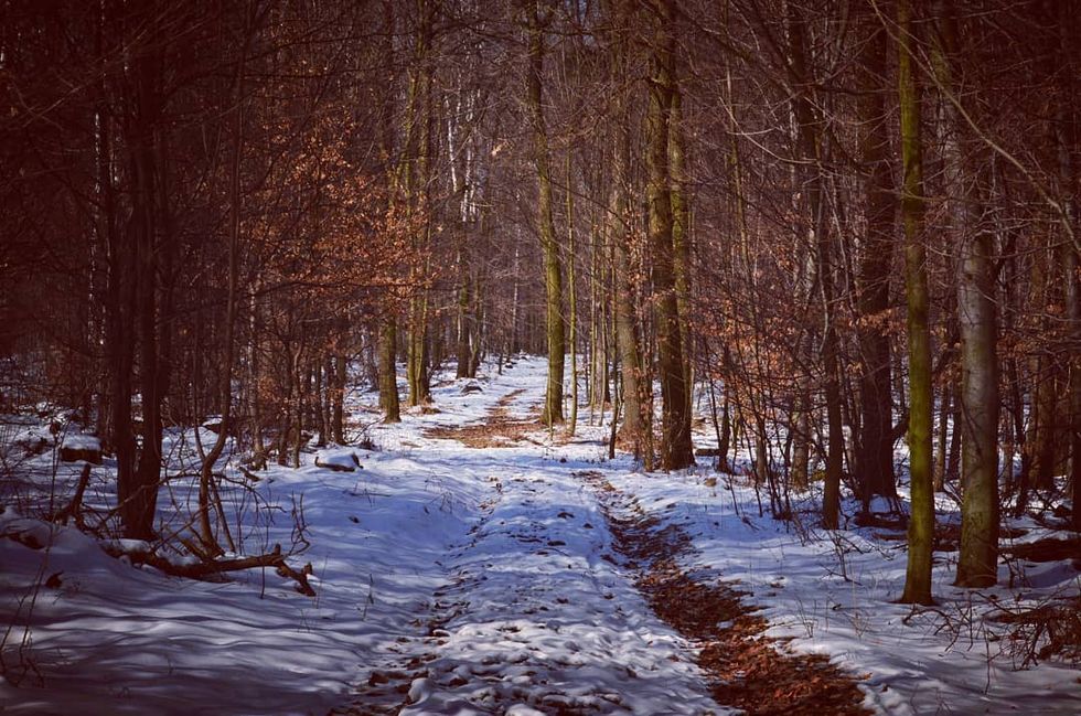 Out With The Old, In With The New