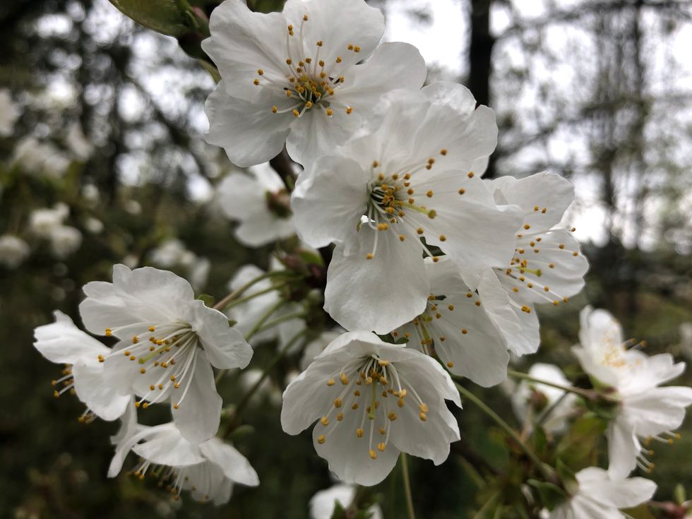 15 Verses About God's Love