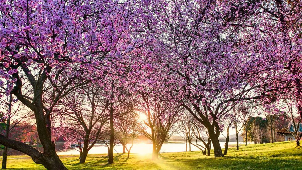 How To Power Through Spring Semester