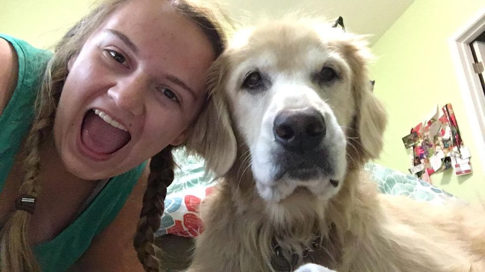 9 Undeniable Reasons Molly Is The Greatest Dog On The Face Of The Planet