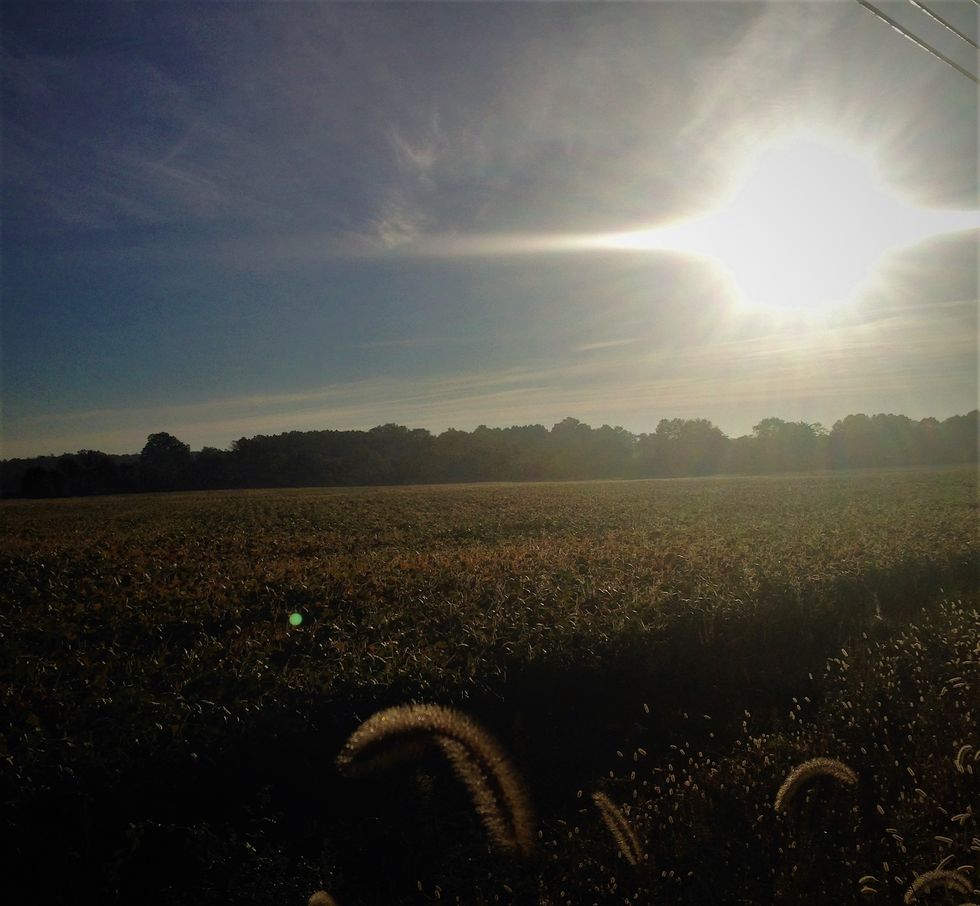 Walk Through The Darkness To Find The Light