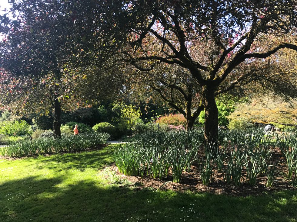 3 Things To Do In San Francisco's Sunset District