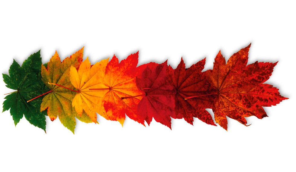 Embracing Change After College