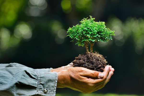 Conservatives, We Should Be Fighting for the Environment