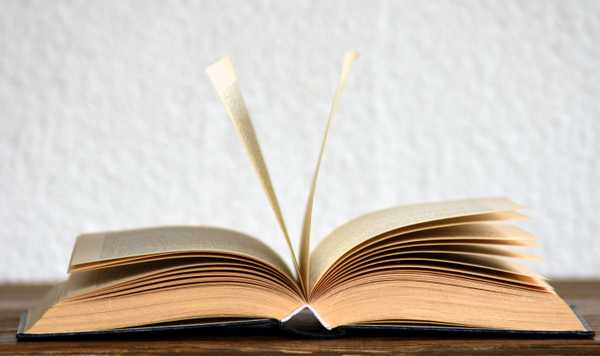 7 Fun Facts I Learned In Sociology
