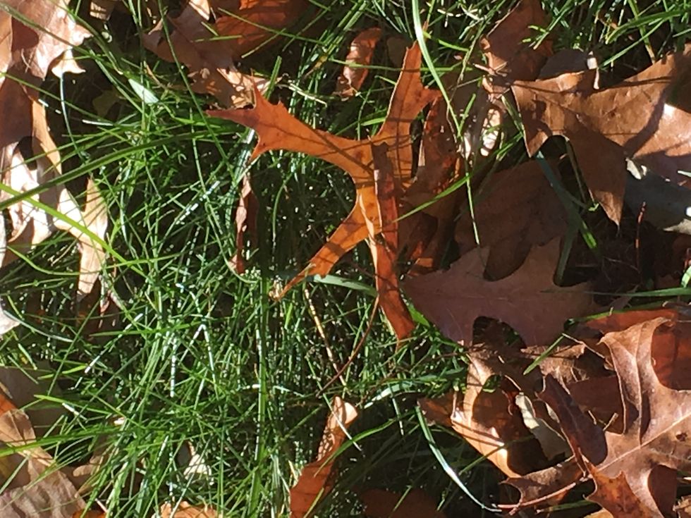 Carpools can't drive themselves: Poetry on Odyssey