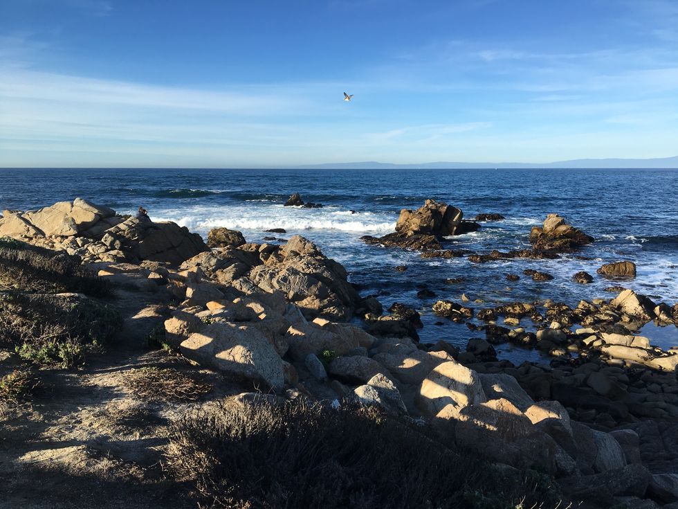 To The Introvert Living In An Extroverted World