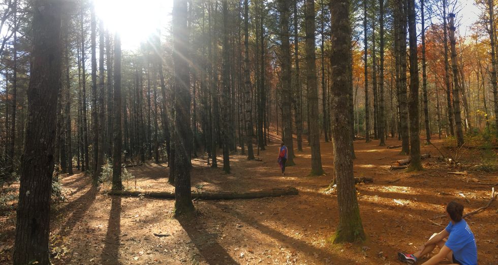 7 Micro Practices That Changed My Life