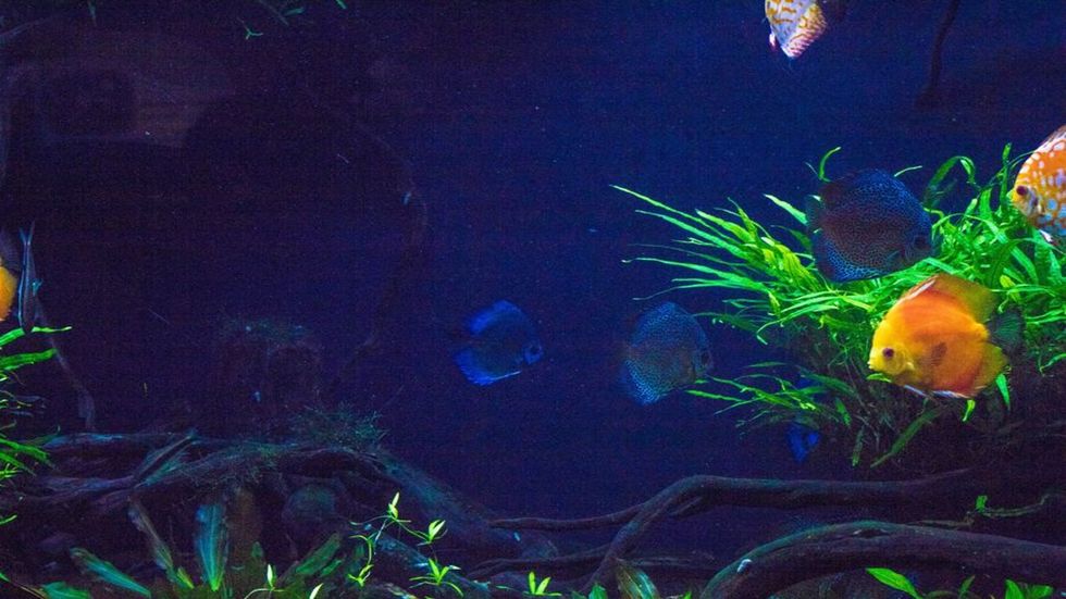 I Don't Have A Specific Plan Lined Up Right Now But That's OK