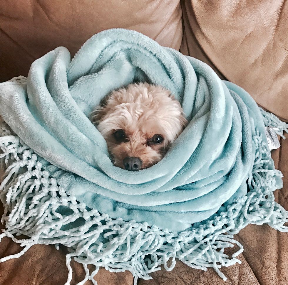 11 Times College Was SO Frustrating All You Could Do Was Call Your Mom