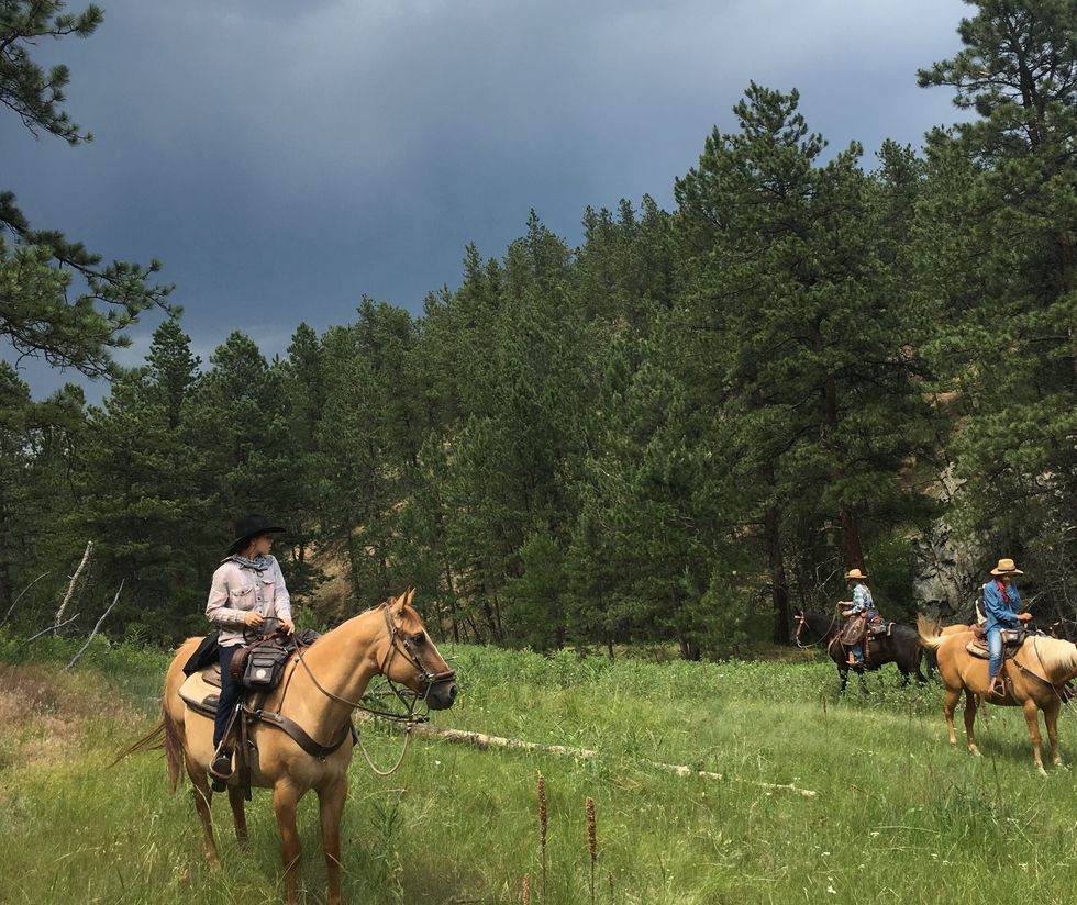 Poetry On Odyssey: Stormy Mountain Ride