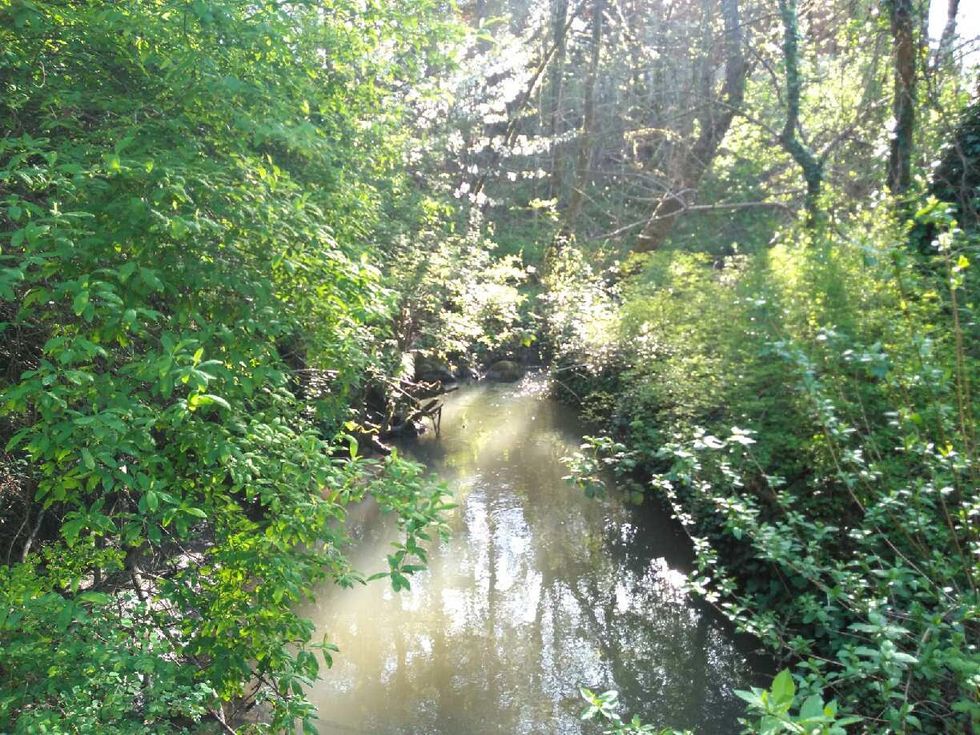 Reflections On This Semester