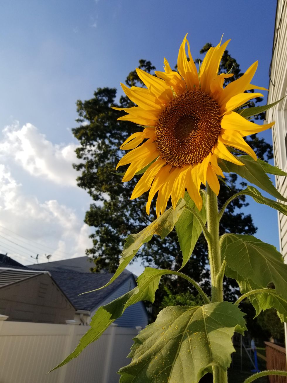 15 Spring Self-Care Routines That Are Always Worth It