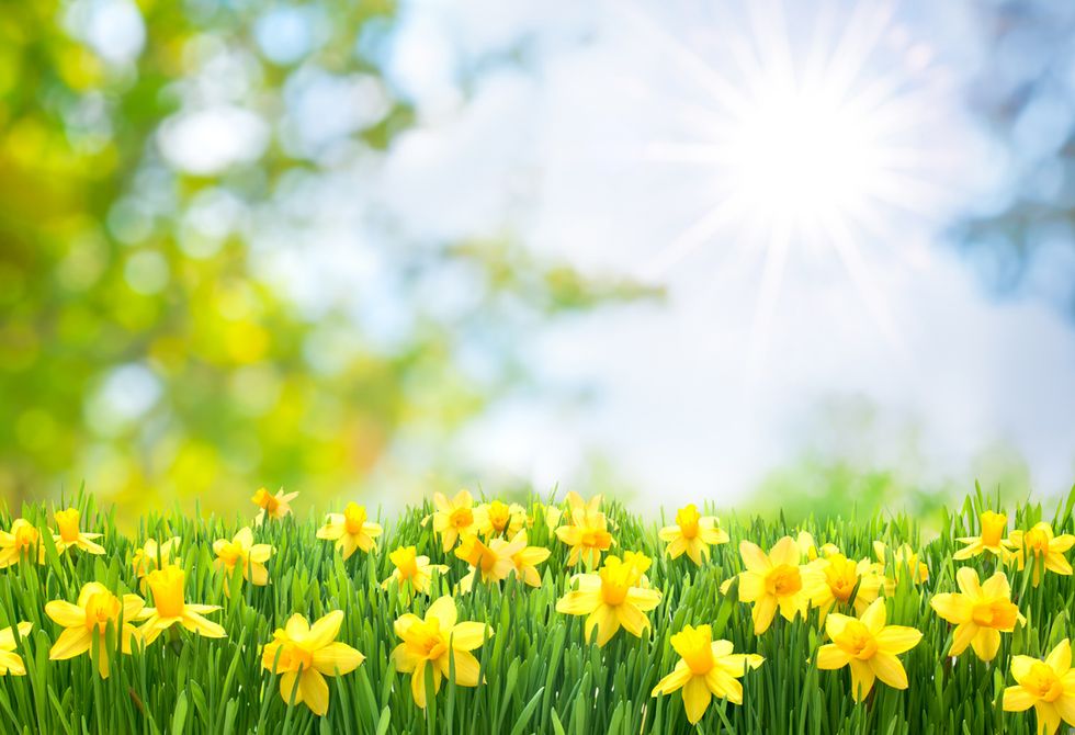 11 Of The Happiest Facts To Boost Your Mood