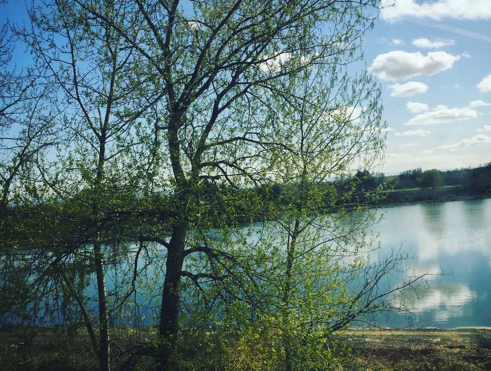 3 Ways To Save The Earth On Villanova's Campus