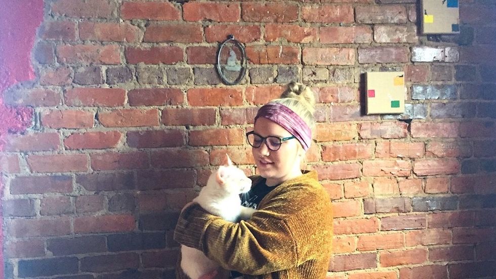 Columbia, SC's Catitude Cat Cafe Is Purrfectly Perfect
