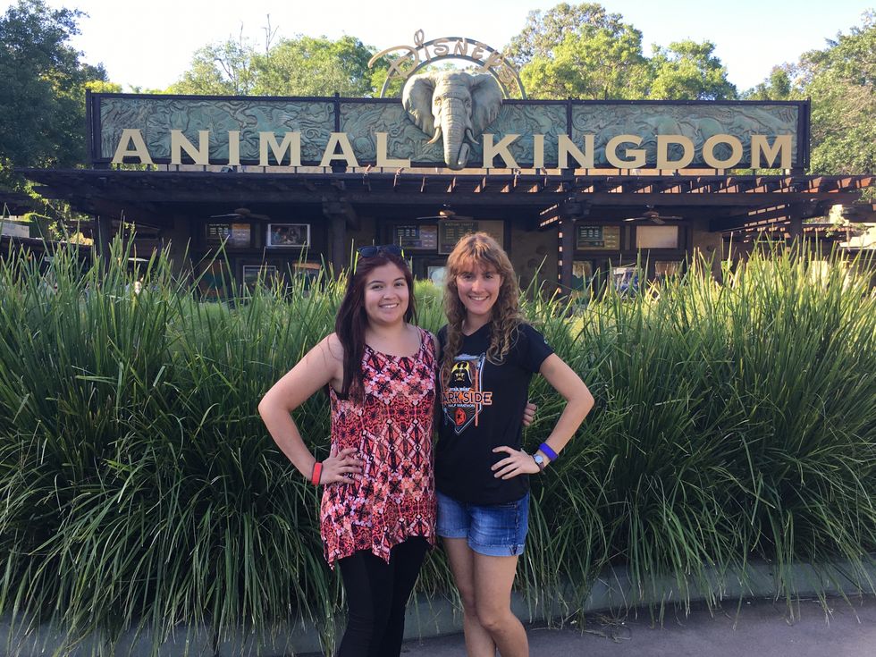 6 Things You Missed At Animal Kingdom's 20th Birthday